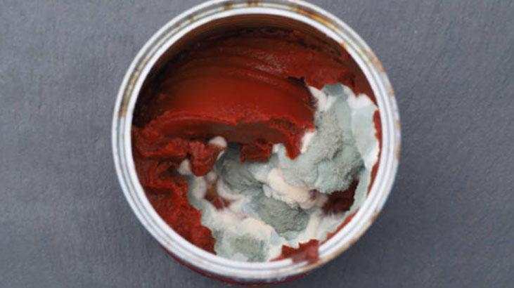 Ne küfleniyor ne bozuluyor Aşçıların salça saklama tekniği ortaya çıktı Ne küfleniyor ne bozuluyor Aşçıların salça saklama tekniği ortaya çıktı