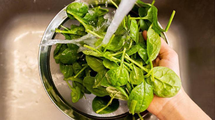 Kir, kum, çamur fark etmiyor Tek yıkamada ıspanağı tertemiz yapan yöntem