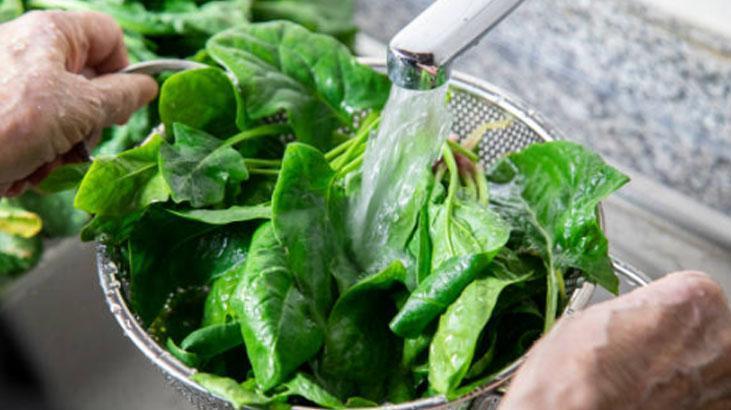 Kir, kum, çamur fark etmiyor Tek yıkamada ıspanağı tertemiz yapan yöntem