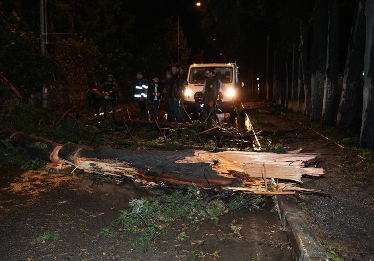 İzmirde sağanak yağış hayatı felç etti Trafik durdu, su baskınları meydana geldi