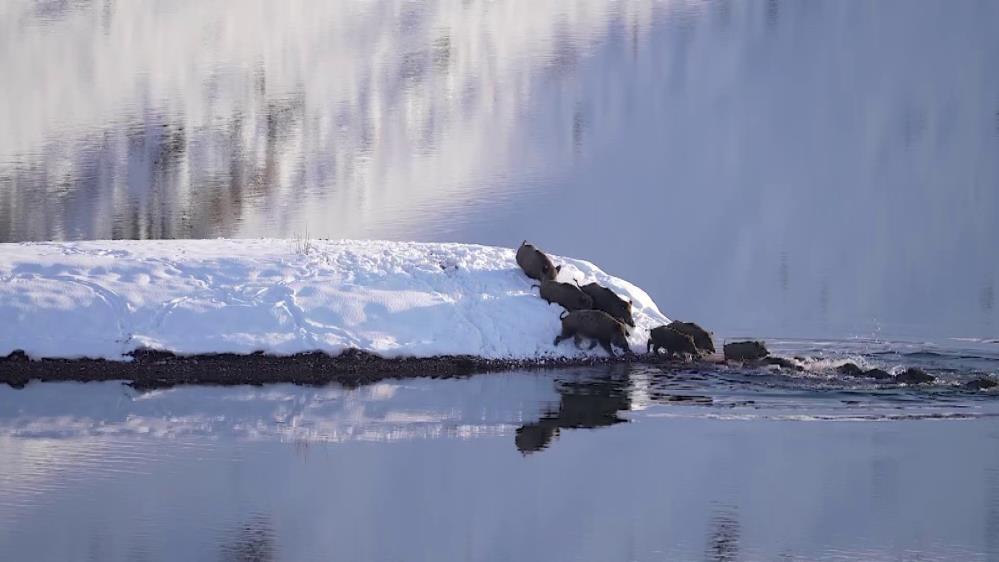 -20de ayak izlerini takip etti, gördükleri şaşkına çevirdi Hem karada hem suda