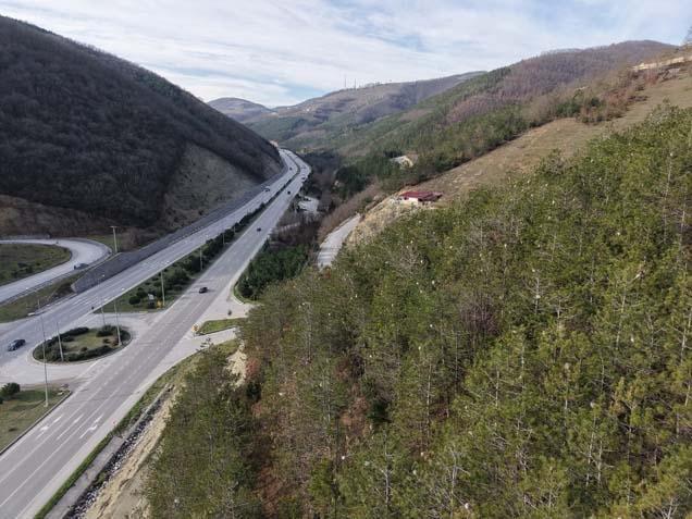 BAHÇE VEYA PİKNİK ALANLARINDA İNSANLARLA TEMAS ETTİĞİNDE ALERJİYE YOL AÇAR