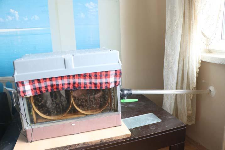 Dünya Kayserili Şahin amcanın peşinde! 15’inci kat sistem kurdu: Gözümün önünde olsun diye oturma odama yaptım - 
                    2. Resim