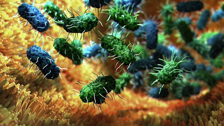 Bağışıklığı zayıf kişiler için tehlike daha büyük