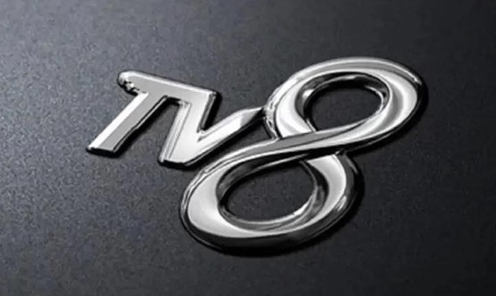 TV8 YAYIN AKIŞI 31 OCAK 2026