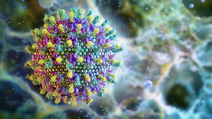 ‘ÜST SOLUNUM YOLU ENFEKSİYONU GİBİ BAŞLIYOR’