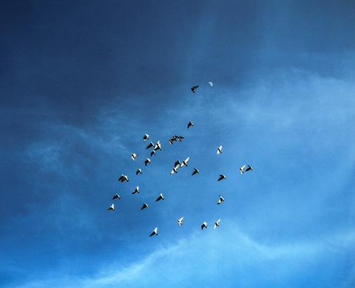 Bulup getiren sorgulanmayacak, ödülünü alacak: Değeri çok büyük