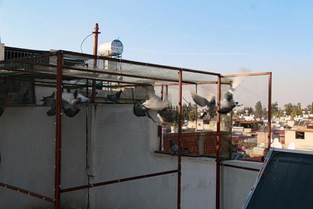 Bulup getiren sorgulanmayacak, ödülünü alacak: Değeri çok büyük