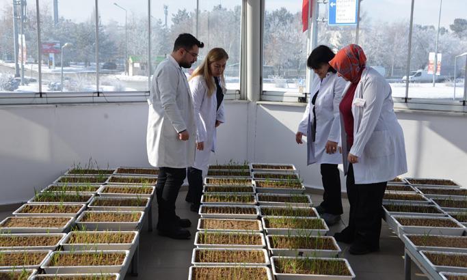 KAYISIDA DA TEST YAPILIYOR KAYISIDA DA TEST YAPILIYOR