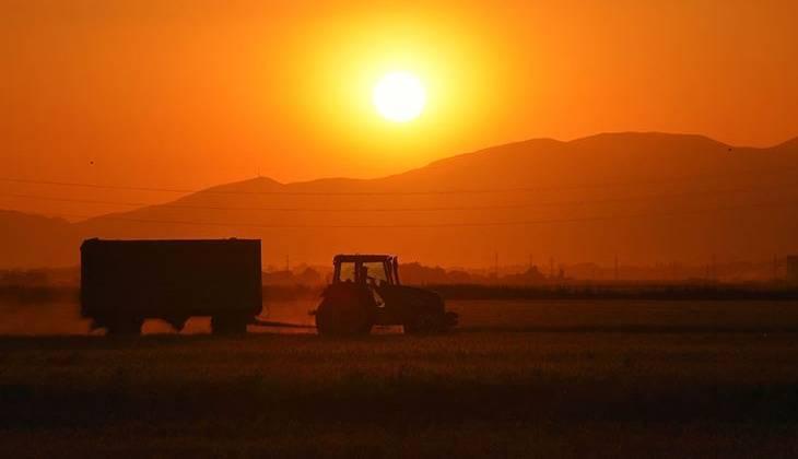 MEVSİMLİK TAHMİNLER MEVSİMLİK TAHMİNLER