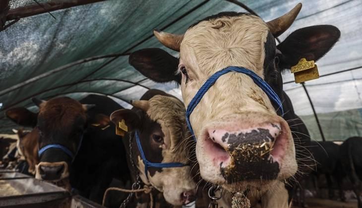 KURBAN BAYRAMI ÖNEMİ KURBAN BAYRAMI ÖNEMİ