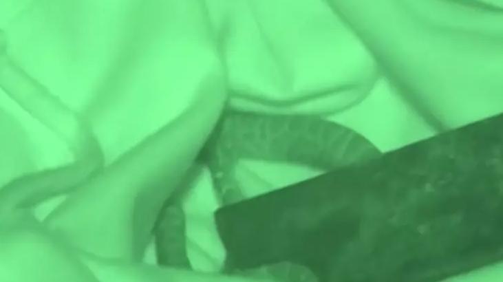 Murat Arkın ve Bayhan arasında gerginlik Küfürlü konuşma Murat Arkın ve Bayhan arasında gerginlik Küfürlü konuşma