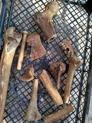 Yüzyıllardır suyun altındaydı Kıyıya vuran küplerin içinden çıktı