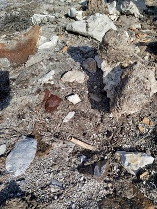 Yüzyıllardır suyun altındaydı Kıyıya vuran küplerin içinden çıktı