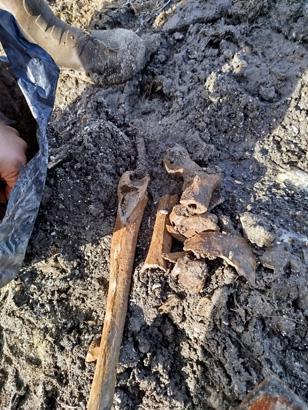 Yüzyıllardır suyun altındaydı Kıyıya vuran küplerin içinden çıktı