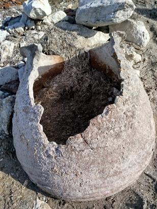 Yüzyıllardır suyun altındaydı Kıyıya vuran küplerin içinden çıktı