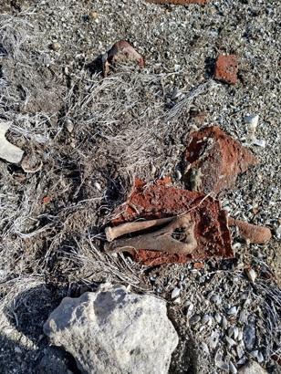 Yüzyıllardır suyun altındaydı Kıyıya vuran küplerin içinden çıktı