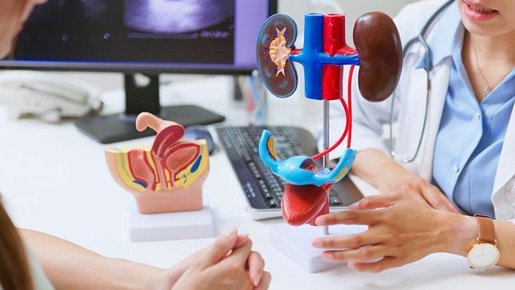 Diyabet: Böbrek hasarının en yaygın nedeni