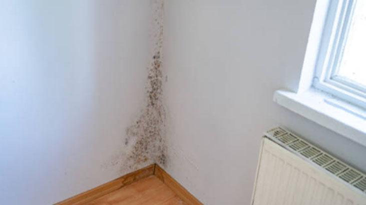 Ne bez ne fırça Küçük folyo topları ayna gibi parlatıyor, sürgüye sürün