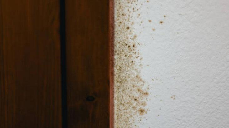 Ne bez ne fırça Küçük folyo topları ayna gibi parlatıyor, sürgüye sürün