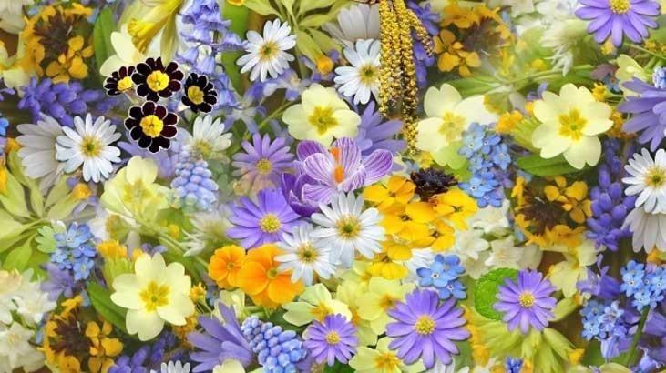 CEMRE DÜŞME TARİHLERİ