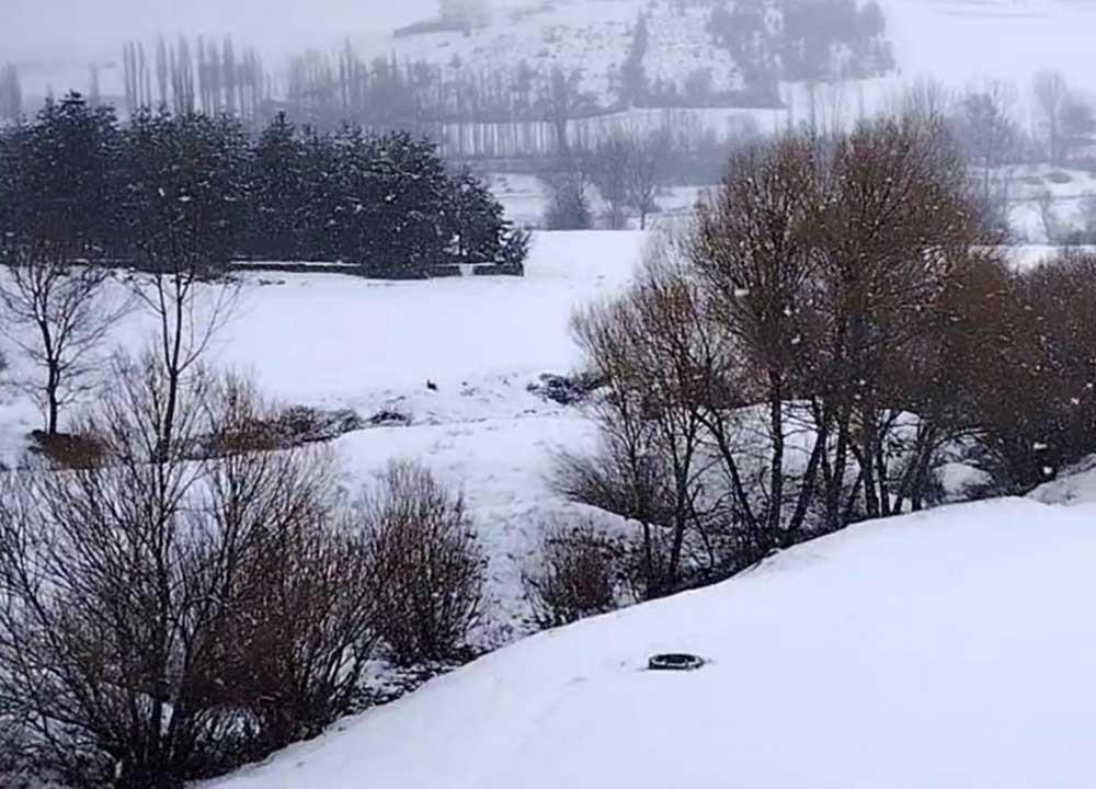 7 metreyi aşan kar duvarı 2 ay kapalı kaldı: Kar, çığ ve kurt korkusu…