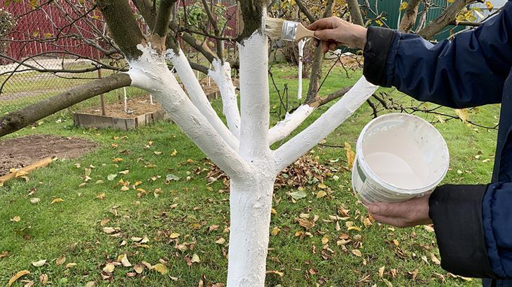 Ne zaman yapılmalı