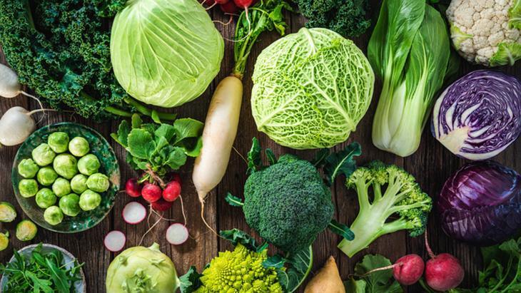 Bağırsak ve metabolizma sağlığını bitkisel proteinler ile güçlendirin Bağırsak ve metabolizma sağlığını bitkisel proteinler ile güçlendirin