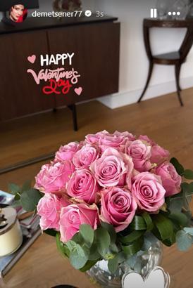 DEMET ŞENER DEMET ŞENER