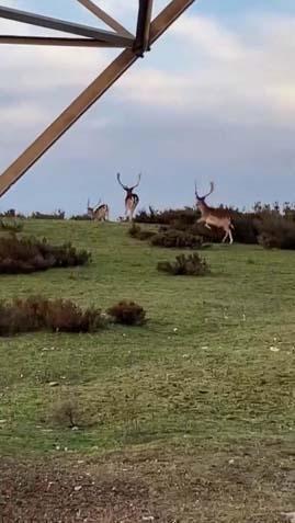 İstanbulun yanı başı Görüntüleri izleyen bölgeye akın etti: ‘Uzaktan izliyoruz’