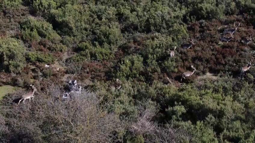 İstanbulun yanı başı Görüntüleri izleyen bölgeye akın etti: ‘Uzaktan izliyoruz’