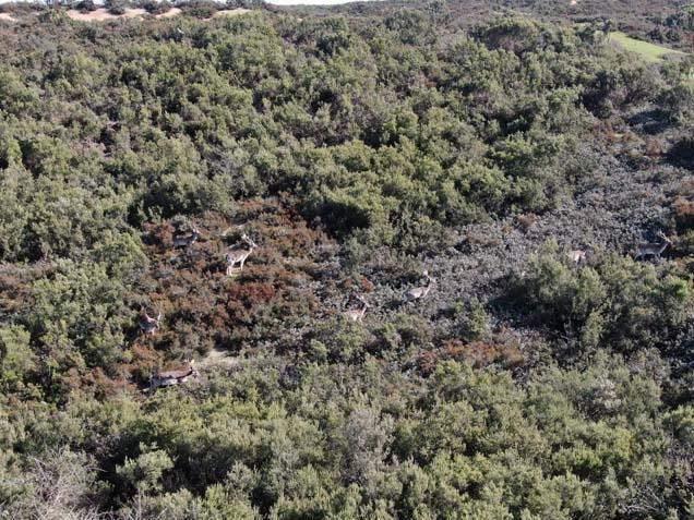 İstanbulun yanı başı Görüntüleri izleyen bölgeye akın etti: ‘Uzaktan izliyoruz’