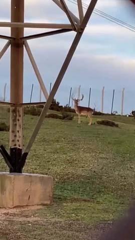 ZARAR VERMEDEN UZAKTAN İZLİYORUZ