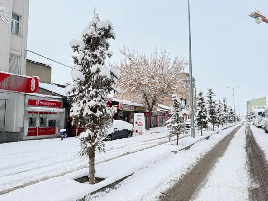 Adeta haritadan silindi, tek katlı evler kara gömüldü Görüntüler Rizeden
