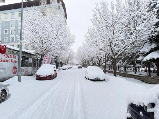 Adeta haritadan silindi, tek katlı evler kara gömüldü Görüntüler Rizeden