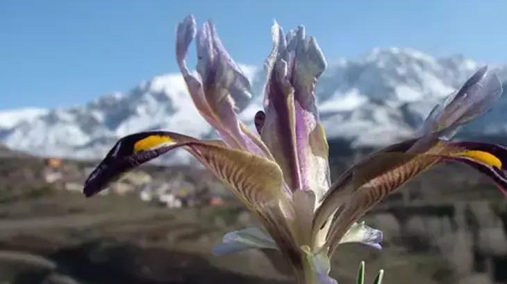 NEVRUZ BAYRAMI’NIN GELENEKLERİ NELERDİR