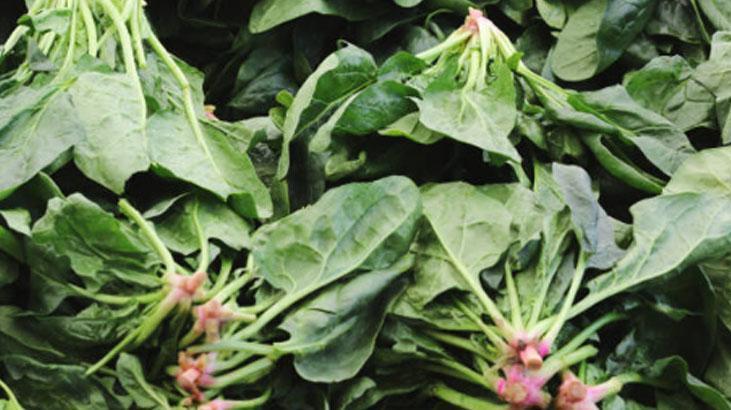 Çıtır çıtır ıspanaklı milföy tarifi Ramazan sofralarının yıldızı: 25 dakikada hazır