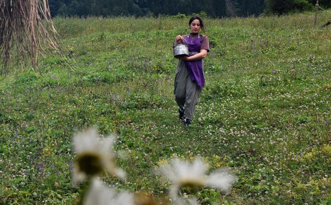 Karadenizin eşsiz lezzedi: Tüm sırlarıyla Hamsiköy sütlacı