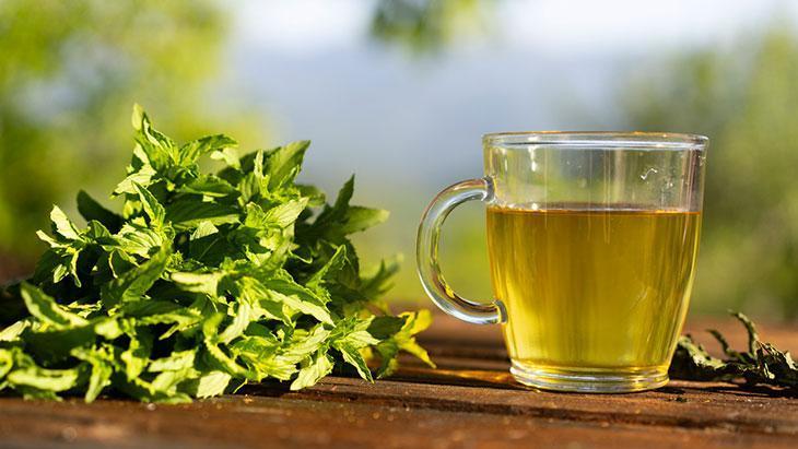 Anti-androjen etkisi üzerine çalışmalar bulunuyor Anti-androjen etkisi üzerine çalışmalar bulunuyor