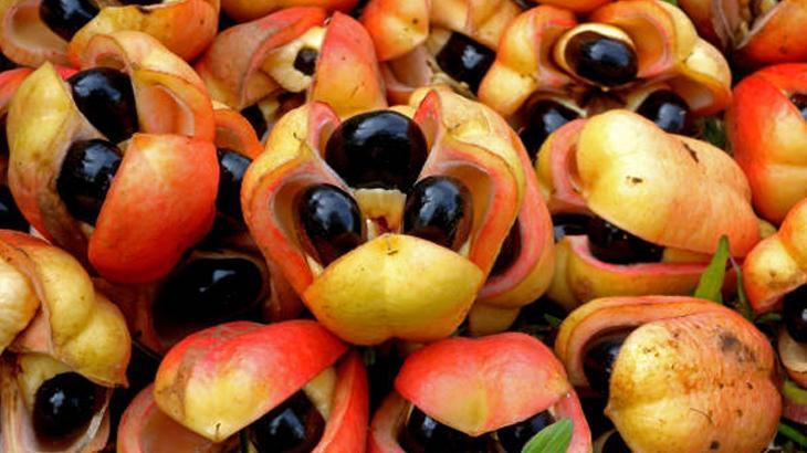 ACKEE: DOĞRU ZAMANDA TÜKETİLMEZSE TEHLİKELİ