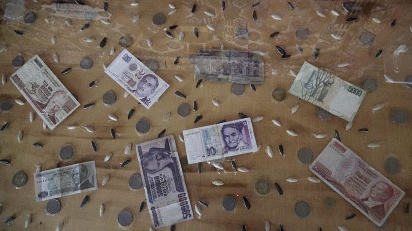 20 yıllık para koleksiyonu Kumbarayla başladı, 600 parçalık tarihe dönüştü 20 yıllık para koleksiyonu Kumbarayla başladı, 600 parçalık tarihe dönüştü