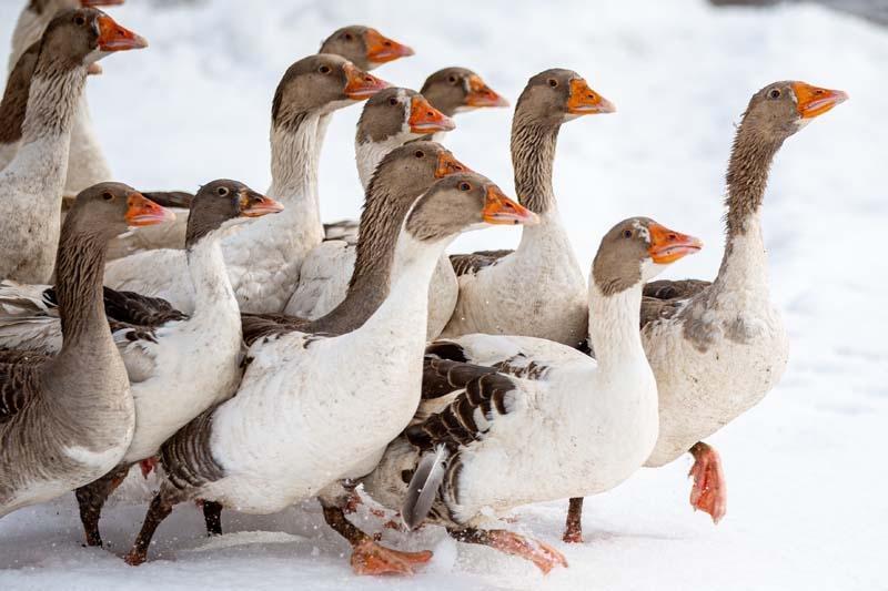 İstanbul’da üst düzey yöneticiydi Her şeyi bırakıp bu işi kurdu: Huzuru bulduk