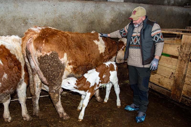 BU YI SAYIYI 85E ÇIKARDIK