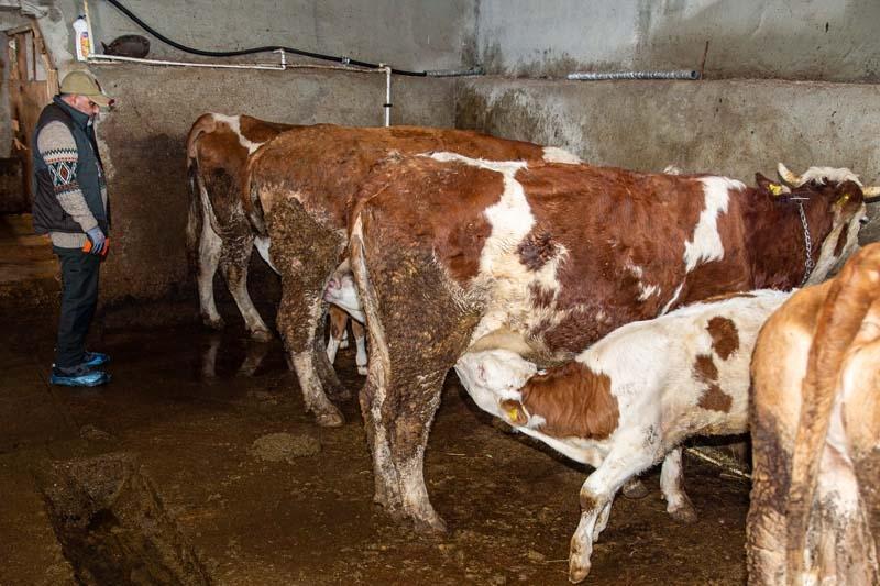 İstanbul’da üst düzey yöneticiydi Her şeyi bırakıp bu işi kurdu: Huzuru bulduk