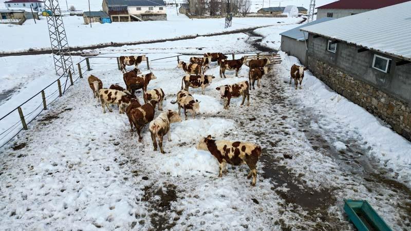 İstanbul’da üst düzey yöneticiydi Her şeyi bırakıp bu işi kurdu: Huzuru bulduk
