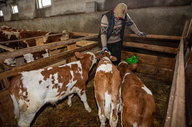 İstanbul’da üst düzey yöneticiydi Her şeyi bırakıp bu işi kurdu: Huzuru bulduk