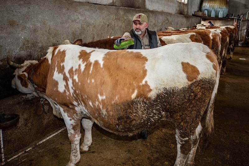 İstanbul’da üst düzey yöneticiydi Her şeyi bırakıp bu işi kurdu: Huzuru bulduk