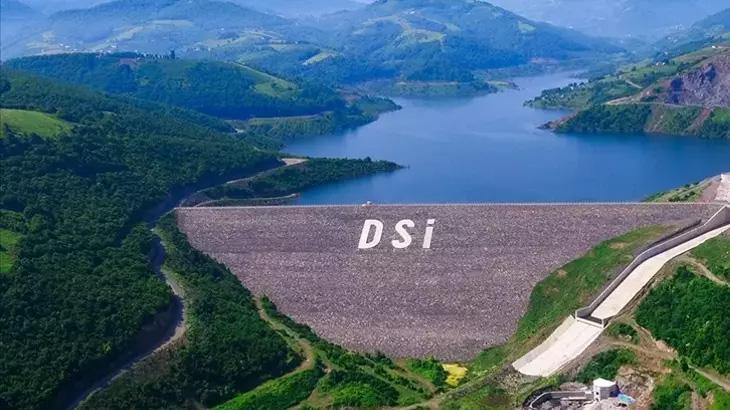 DSİ KADRO BRANŞ DAĞILIMI