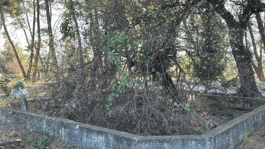 BİZİ ÜZEN MEKANIN SİMGESİ OLAN TAŞIN KAYBOLMASI