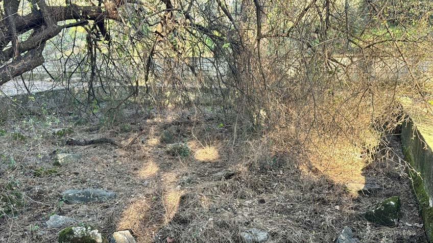 Delik Dede’nin 200 yıllık sırrı çalındı Muhtar lanetli deyip duyurdu: Zarar getirir